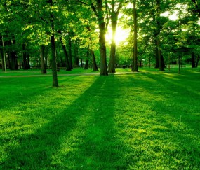 头屯河7家供(借)卵试管婴儿医院最新排名，2024申请供卵需要排队吗！