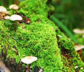 头屯河top6供卵助孕生殖中心名单分享，附供卵管成功率、费用预算！
