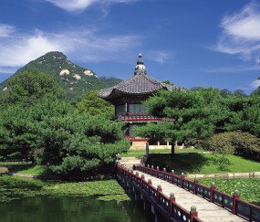 头屯河当地供卵试管助孕医院排名，6家试管中心任你选！