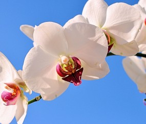 南宁试管医院费用（南宁试管医院费用高吗）