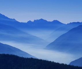 头屯河6家不排队供卵机构公布，40岁胚胎着床率达51%！