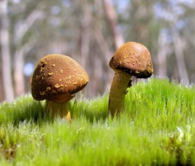 头屯河5家合法供卵生殖中心名单，供卵单周期费用仅4万！